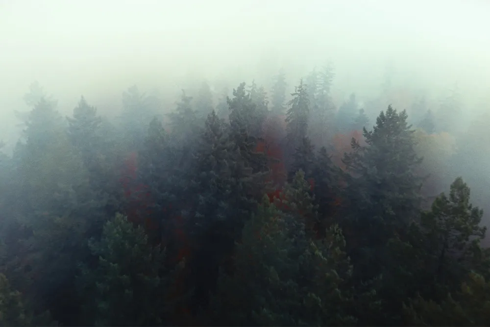 K&F Concept camera tripod set up in outdoor filming environment